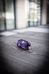 Violet Marble - bobkovník