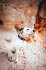 Color Storm - obojek