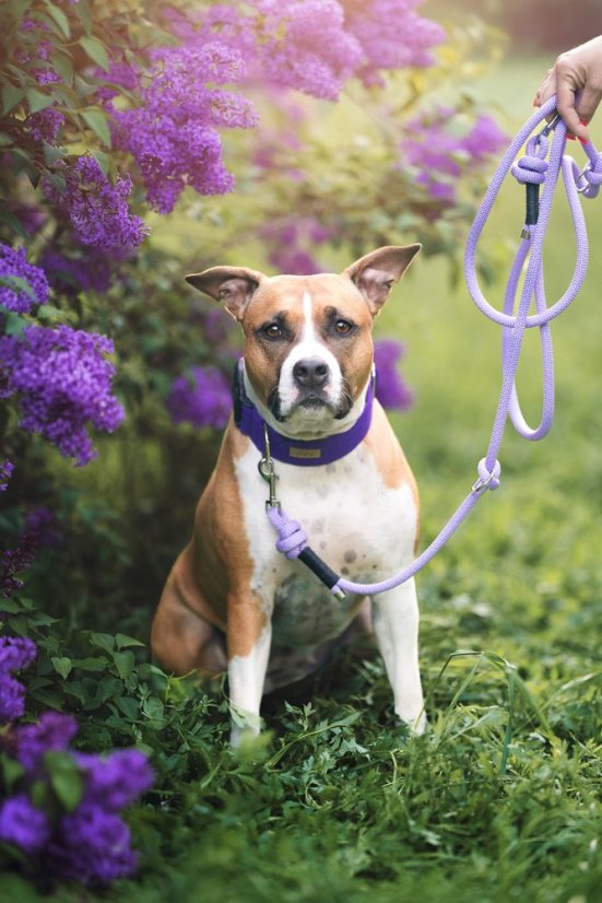 Přepínací lanové vodítko