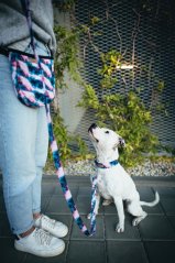 Blueberry Marble - pamlskovník