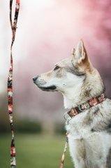 Polostahovák - vzorovaný