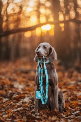 Ice Marble - přepínací vodítko