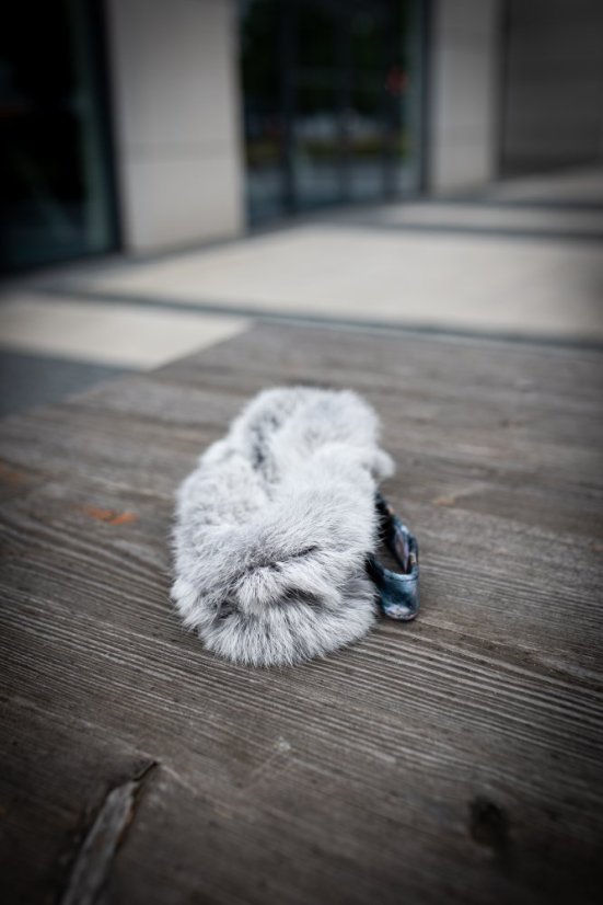 Králičí přetahovadlo