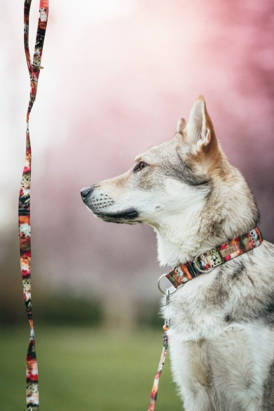 Polostahovák - vzorovaný