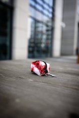 Burgundy Marble - bobkovník