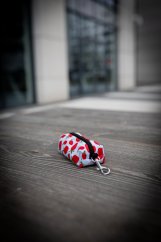 Jahůdky - bobkovník