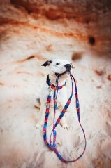 Color Storm - přepínací vodítko