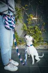 Blueberry Marble - pamlskovník