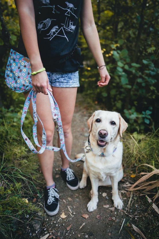 Donutty - přepínací vodítko
