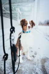 Přepínací lanové vodítko