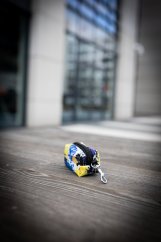 Blue Splash - bobkovník