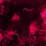 Magenta Velvet Marble
